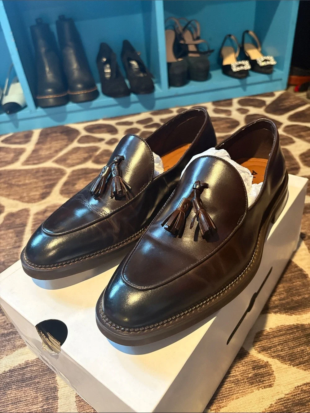 Aldo Portos-201 Men's Leather Tassel Loafers in Dark Brown